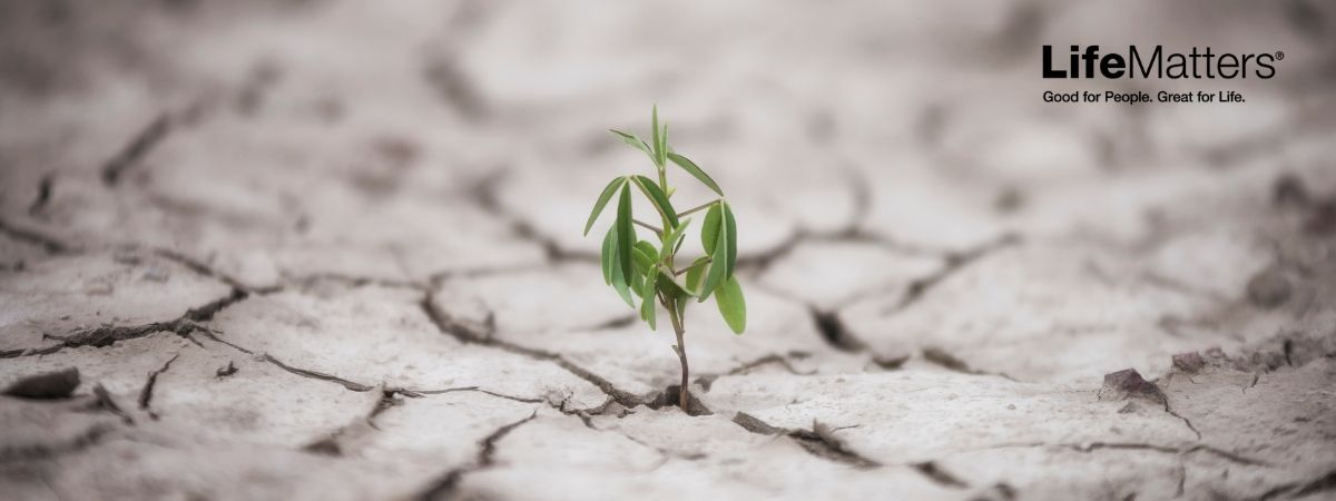 The Power of Resilience